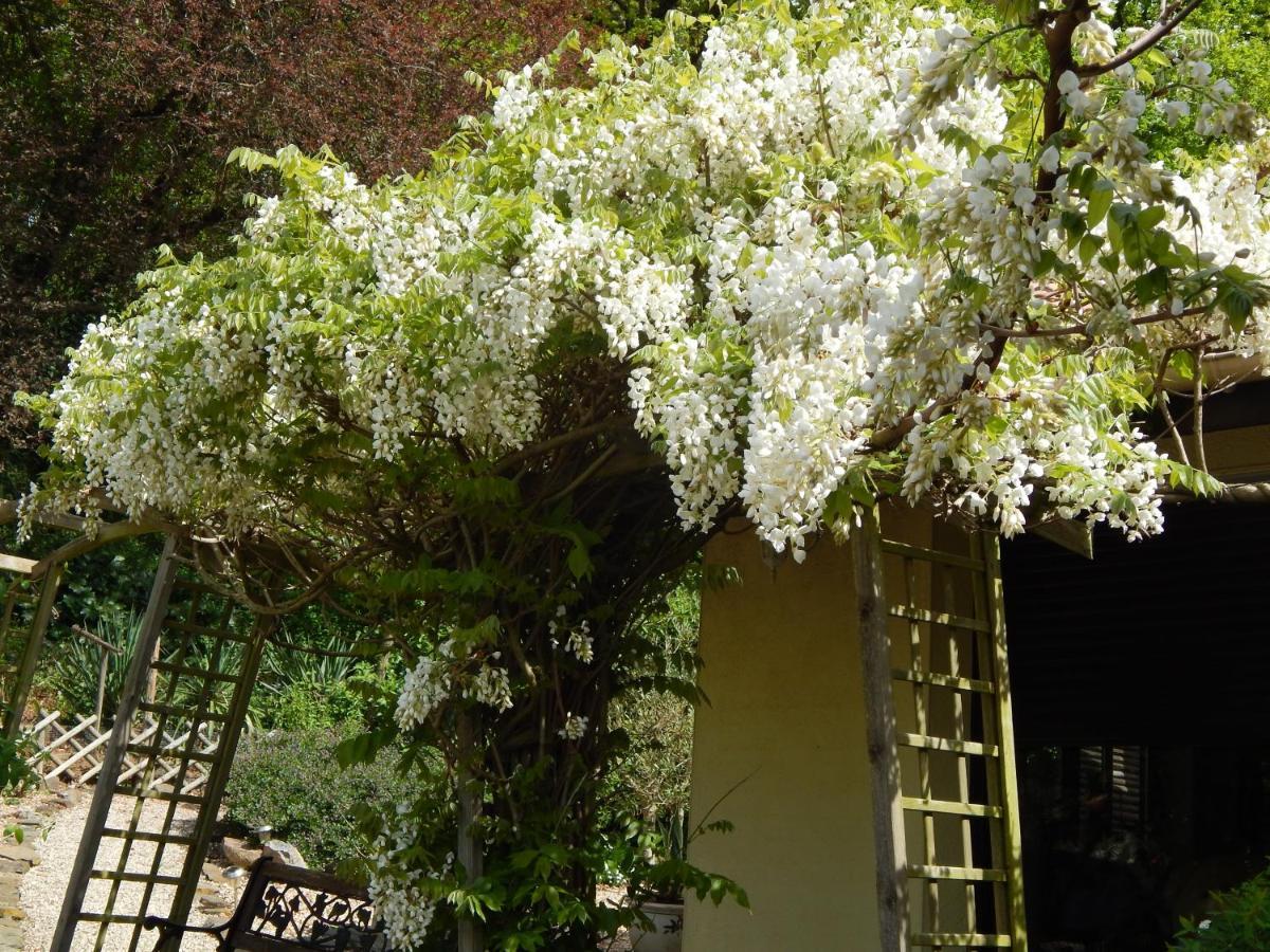 The Petite Chalet Chambre D'Hotes L'Isle-Jourdain  المظهر الخارجي الصورة