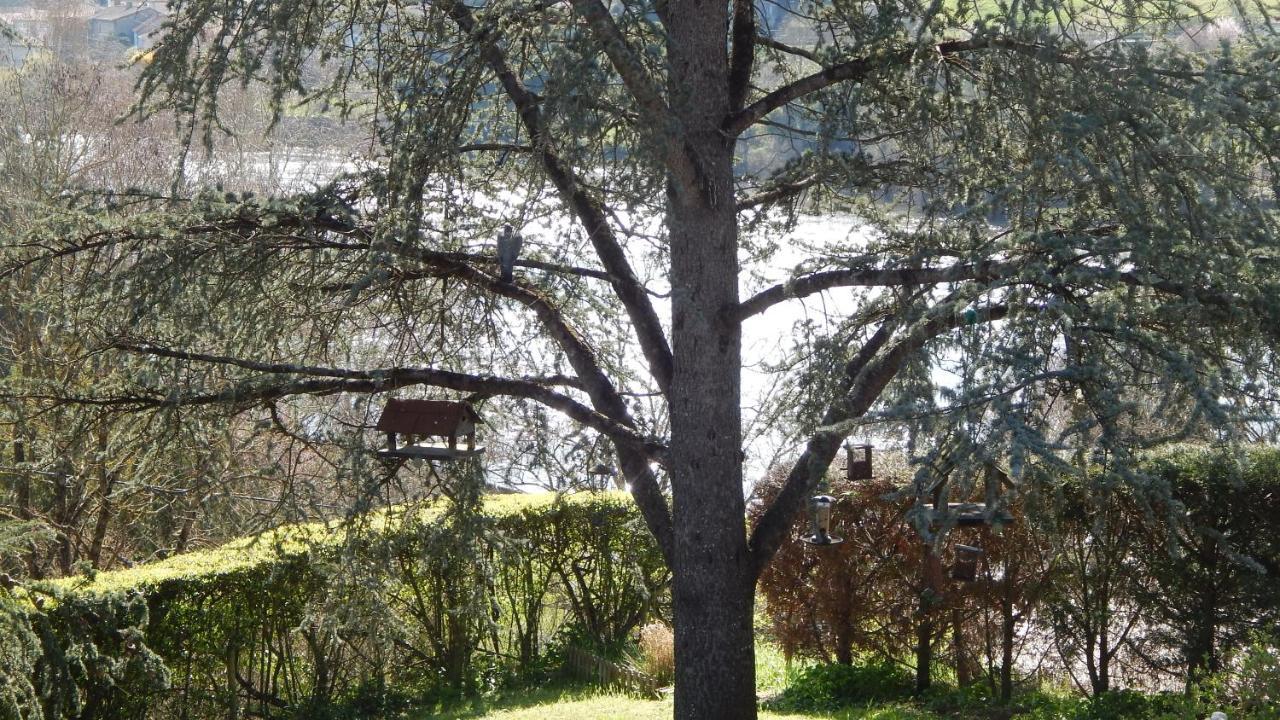 The Petite Chalet Chambre D'Hotes L'Isle-Jourdain  المظهر الخارجي الصورة